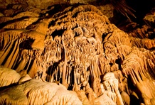 Grotte de Dargilan